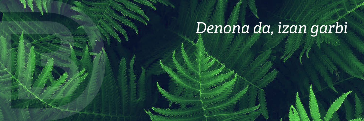 Debabarrena banner