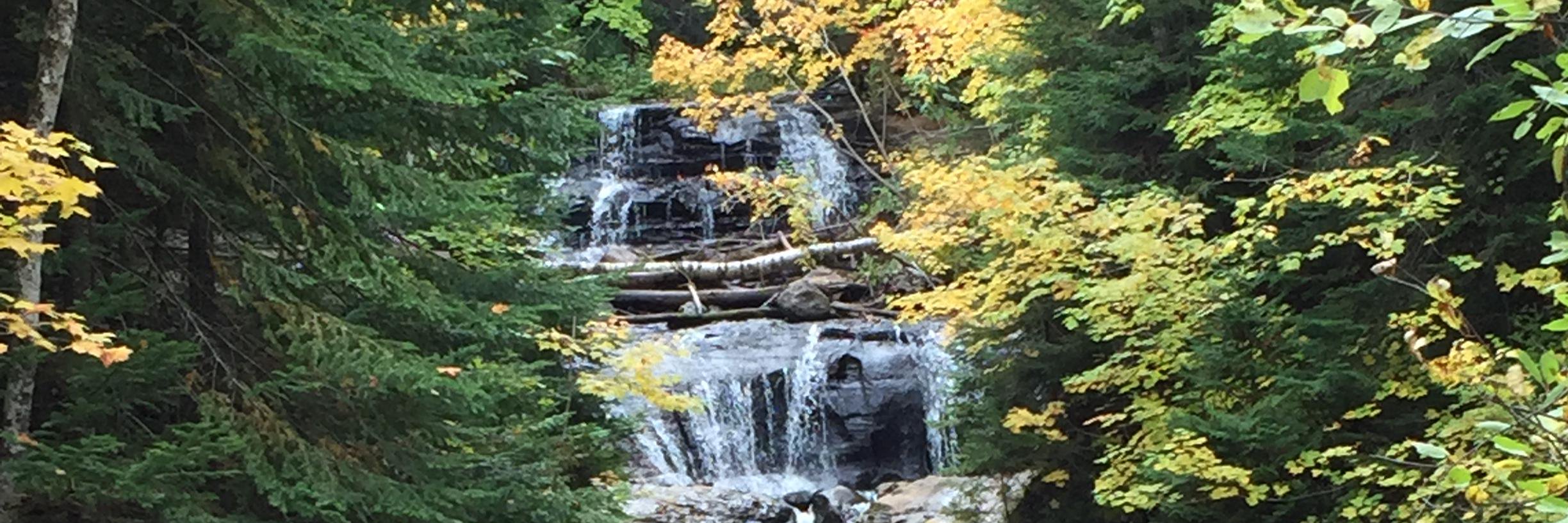 Marcus Boynton banner