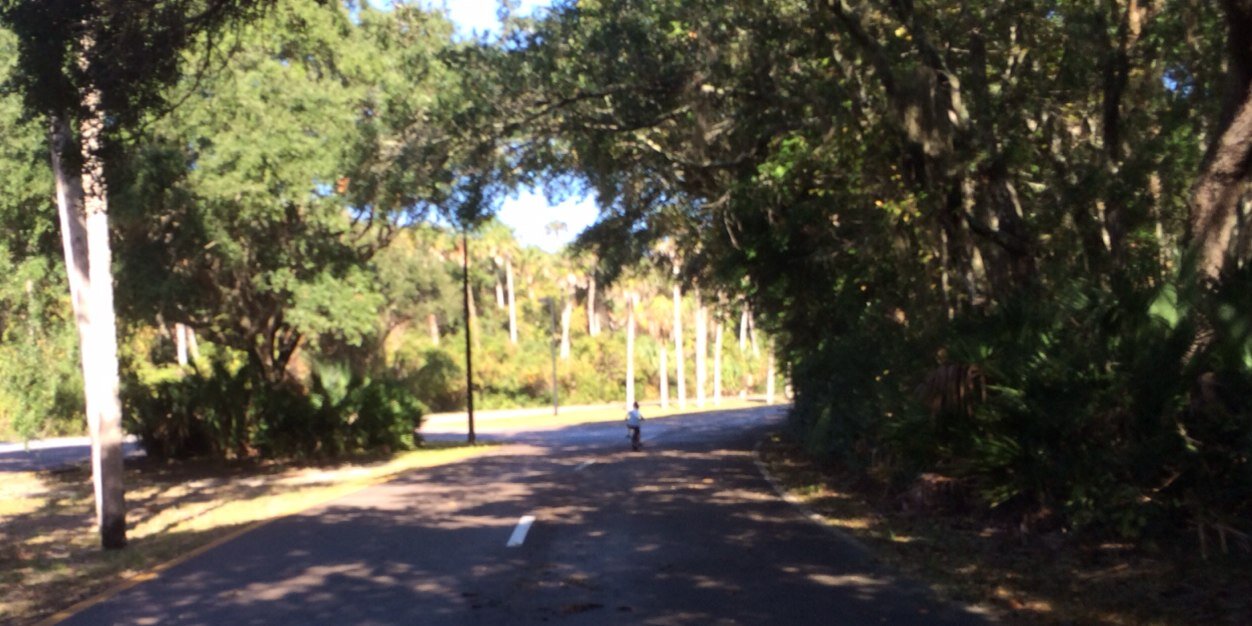David Arnold banner