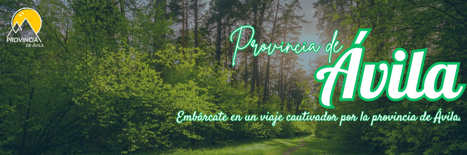 Provincia de Ávila banner