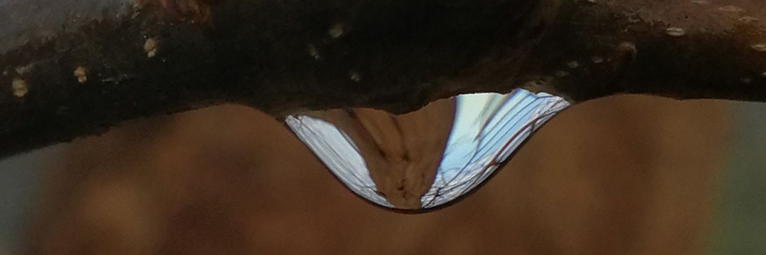 pancho gallardo banner