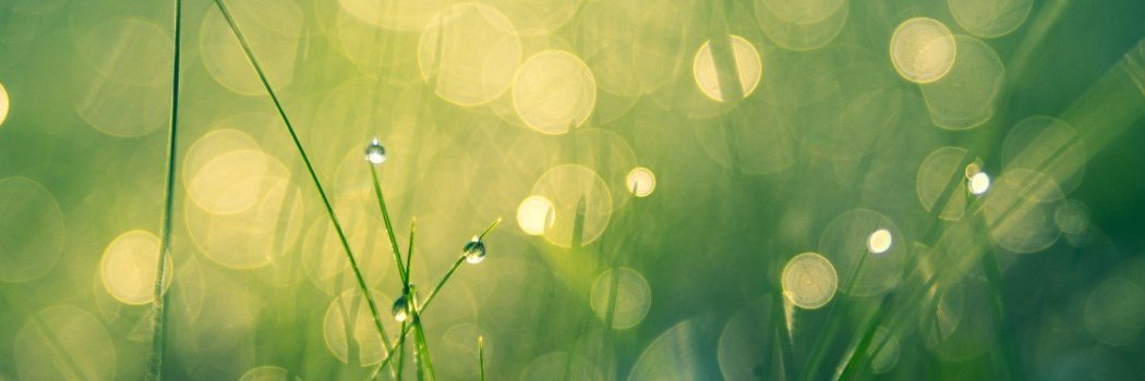 TheAprilRenee's profile banner image