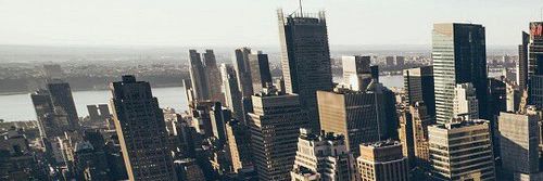 bluexee's profile banner image