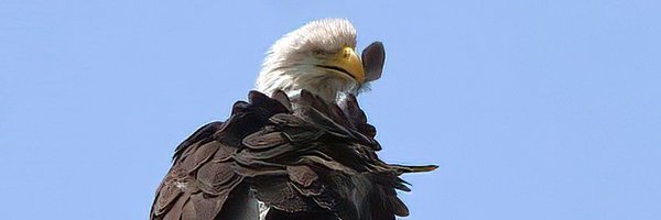 MaureenSeaberg Profile Banner