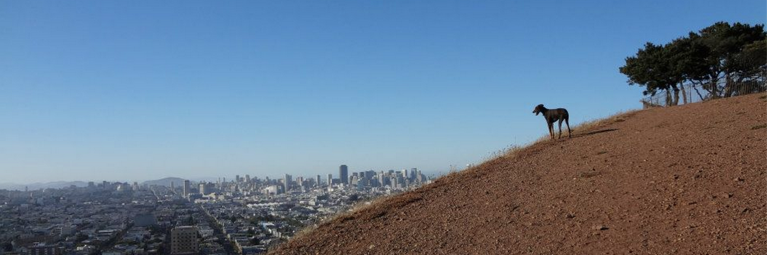 ang_larkin's profile banner image