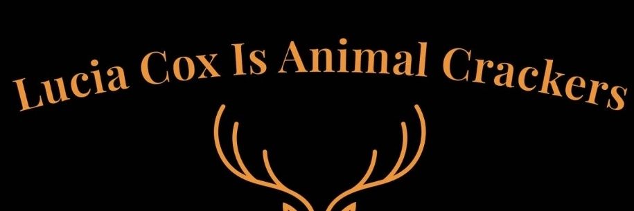 lucia_cox's profile banner image