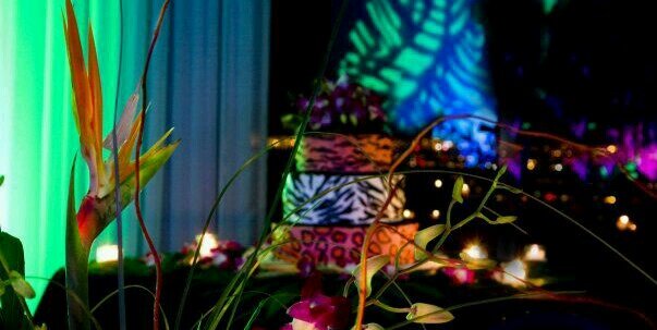 VSaizevents's profile banner image