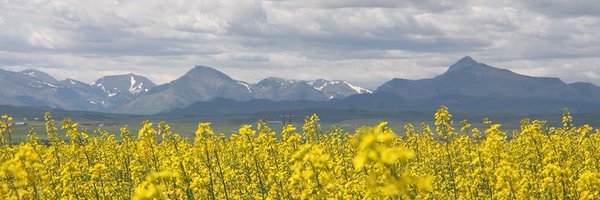 CamiDRyan Profile Banner