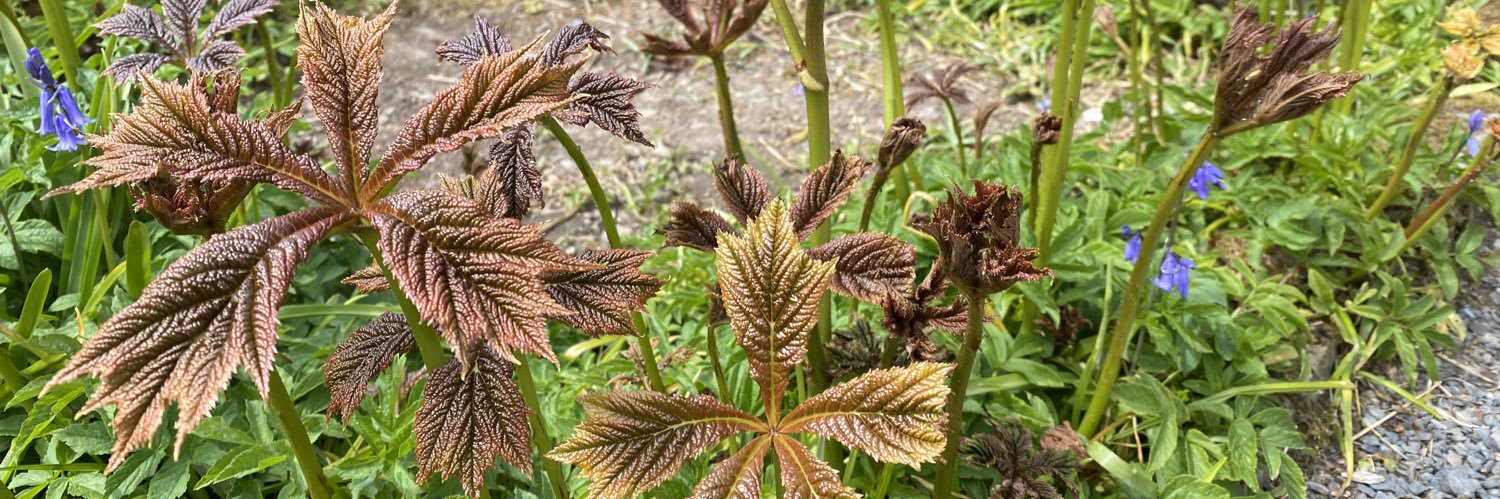 Matthew Newman banner