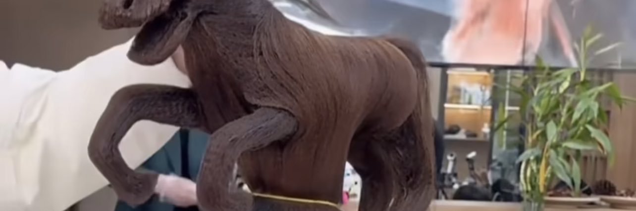 André johnson banner