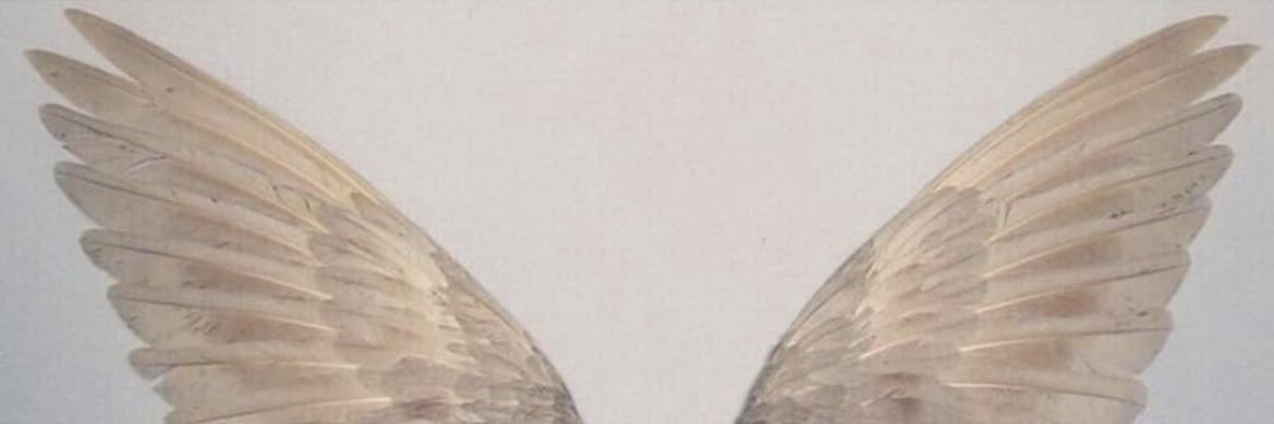 i_77lmx's profile banner image