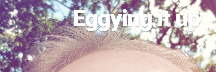 linneastotzer's profile banner image
