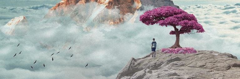 shnapsy's profile banner image