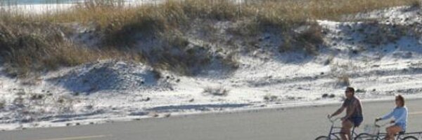 EcoBeachTM Profile Banner