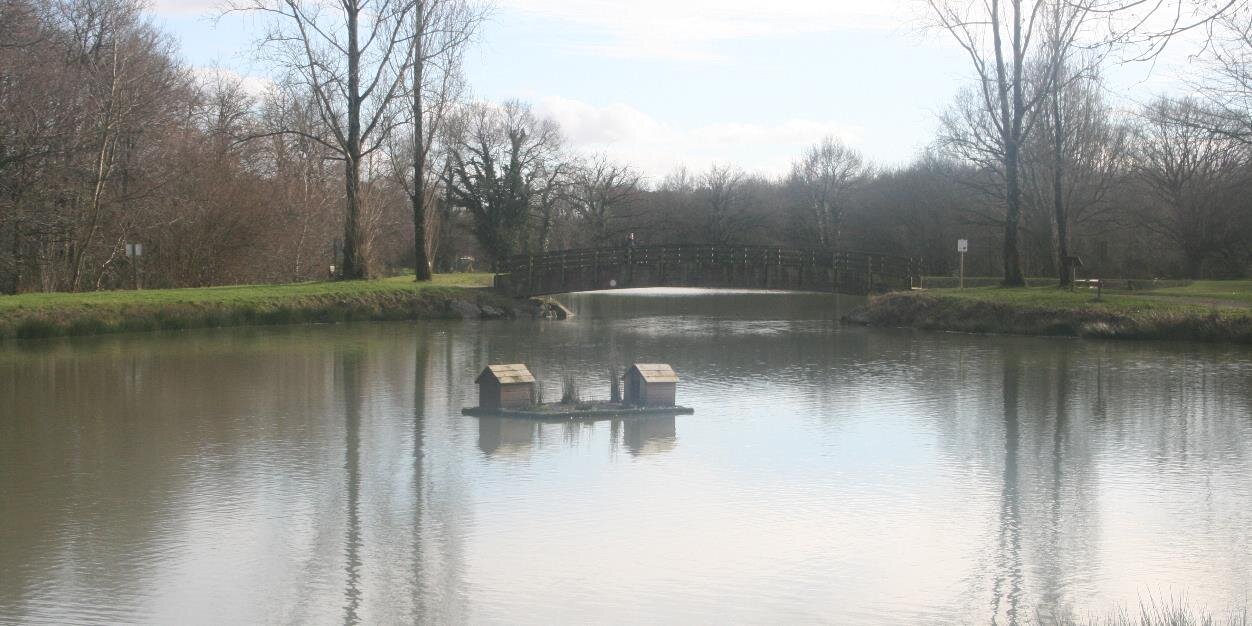 Bernard Perrin banner