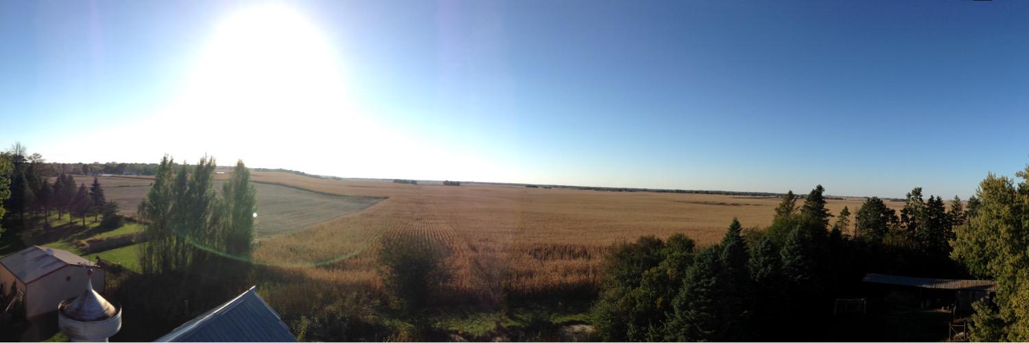 zalarimer's profile banner image