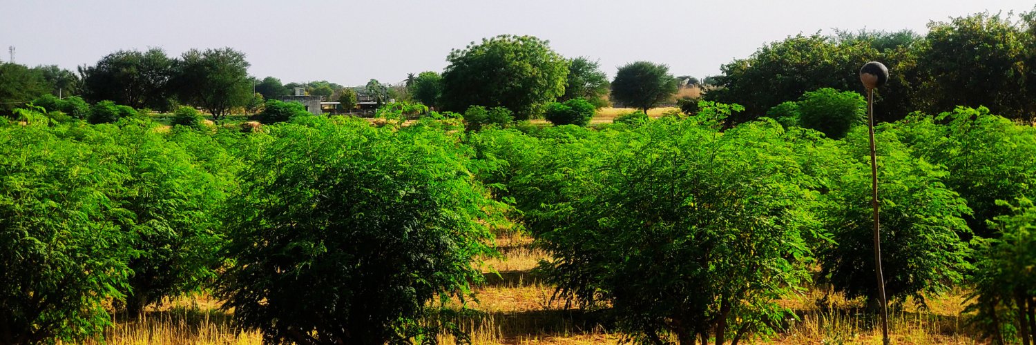 cjp_india's profile banner image