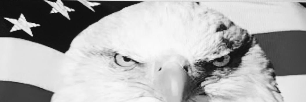 enderlineagles's profile banner image
