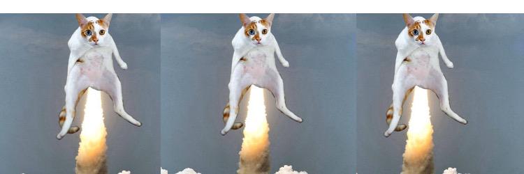 richard_kitty's profile banner image