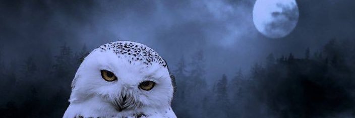 Always Watching banner
