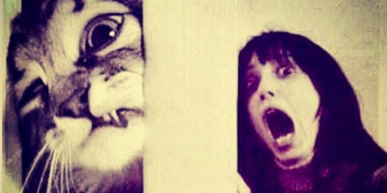ohitsalexx's profile banner image