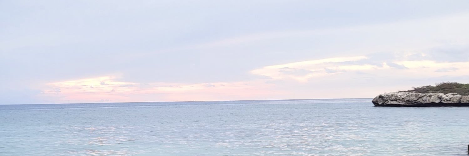 enyadhl's profile banner image