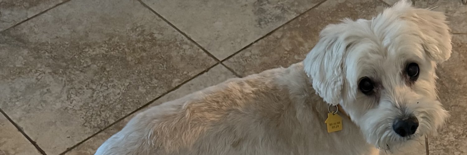 azdoglover 🇺🇸 banner