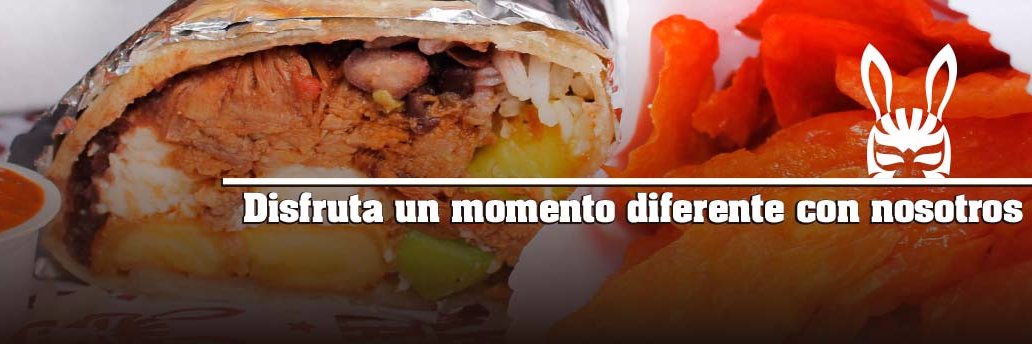 BurrosGeniales's profile banner image