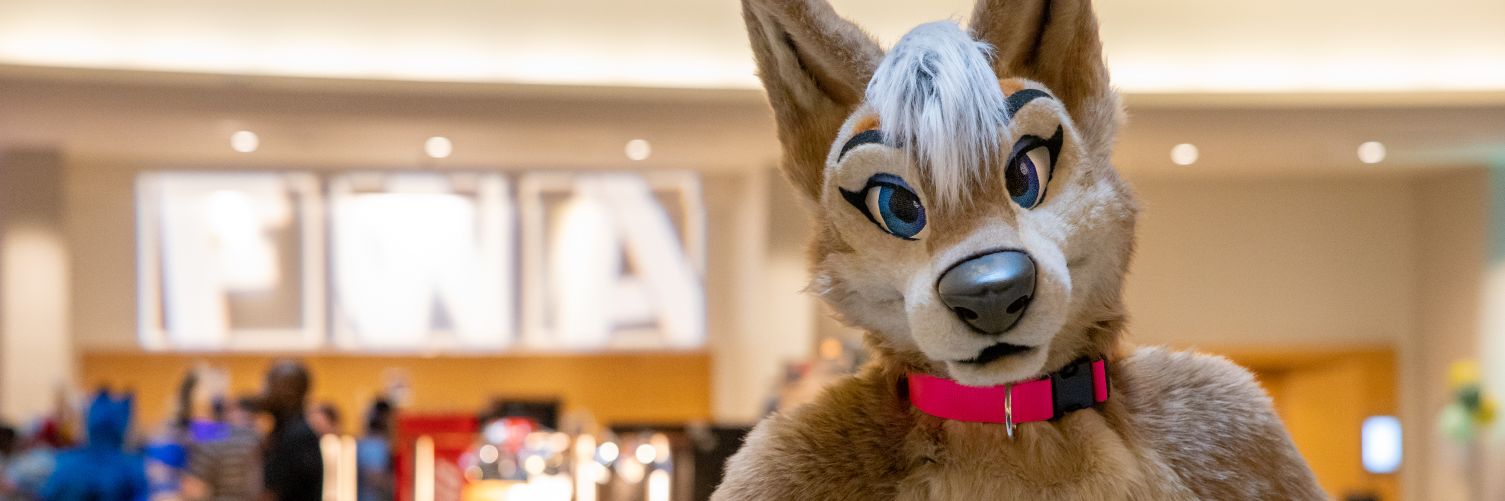 ashene64's profile banner image