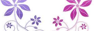 iamIreWOLE's profile banner image