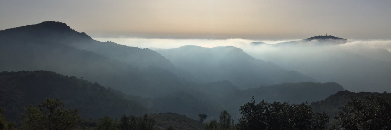 berrugil's profile banner image