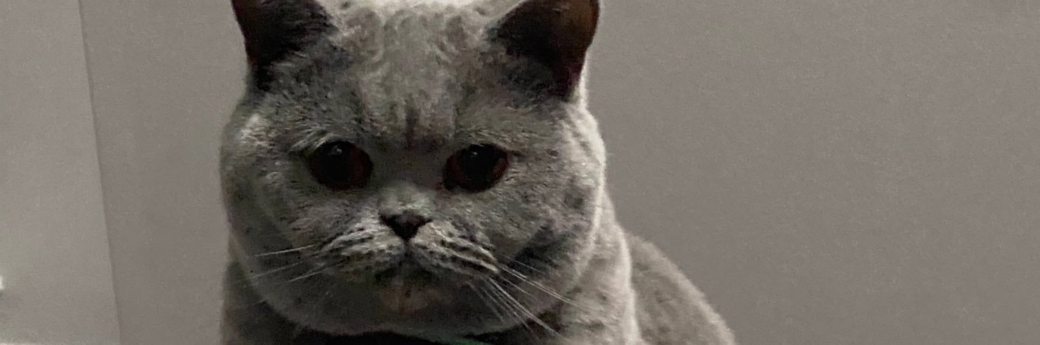 LordGraydon's profile banner image
