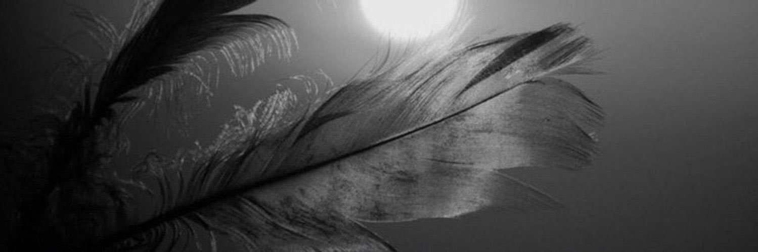feeling_07's profile banner image