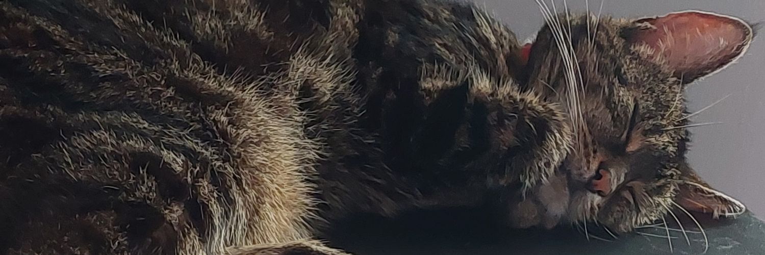 Kez banner