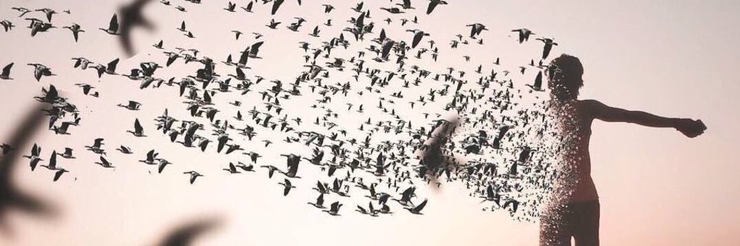 uu_71's profile banner image