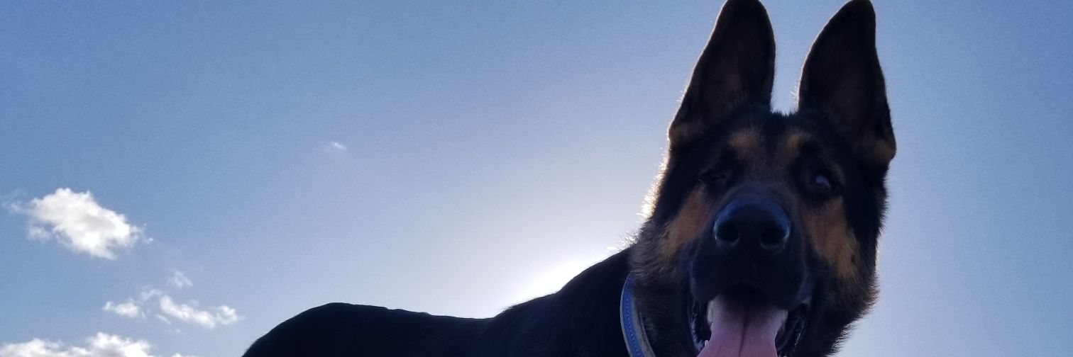 Isaaaaaaac_'s profile banner image
