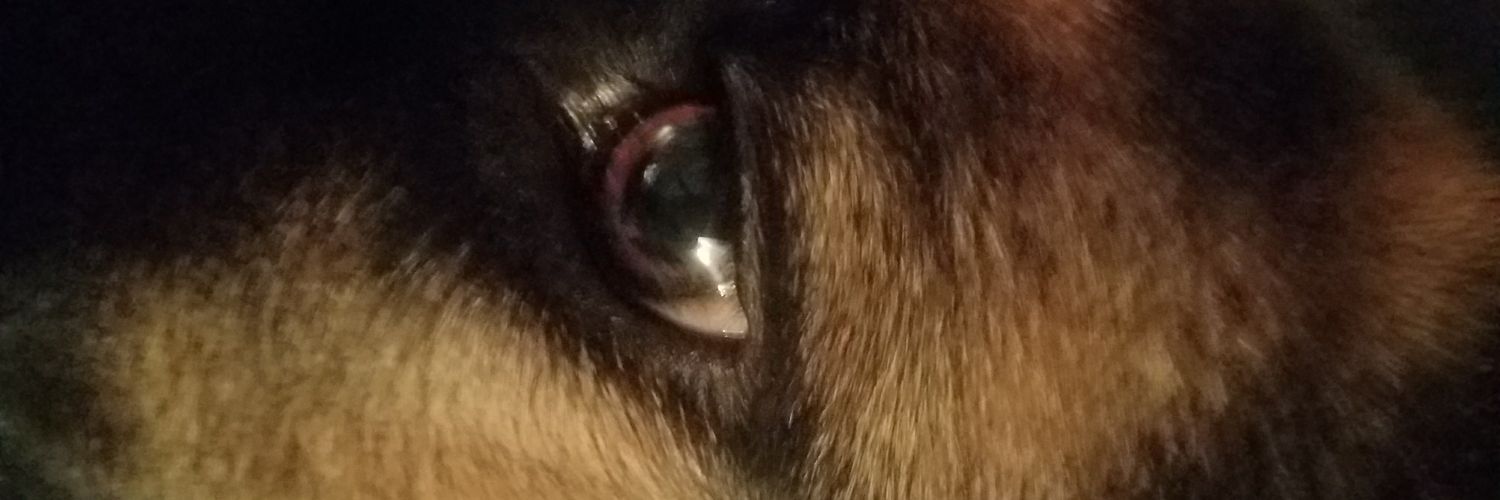 killaz306's profile banner image