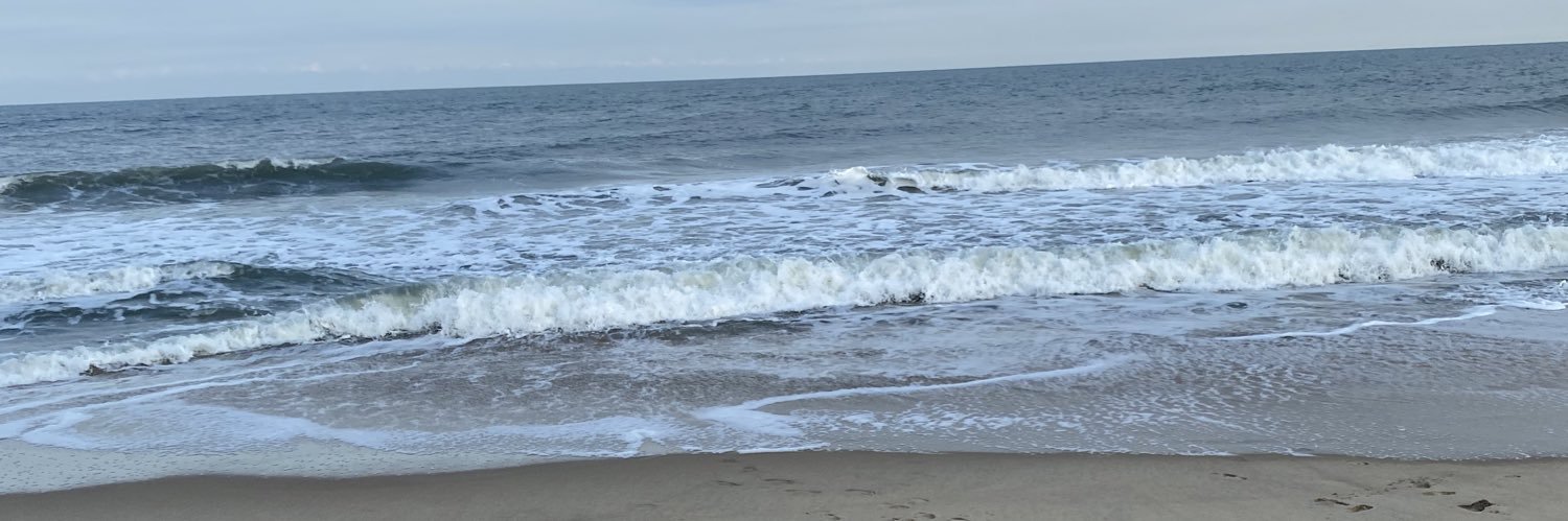 Olayemi Adeniran MD, MPH banner