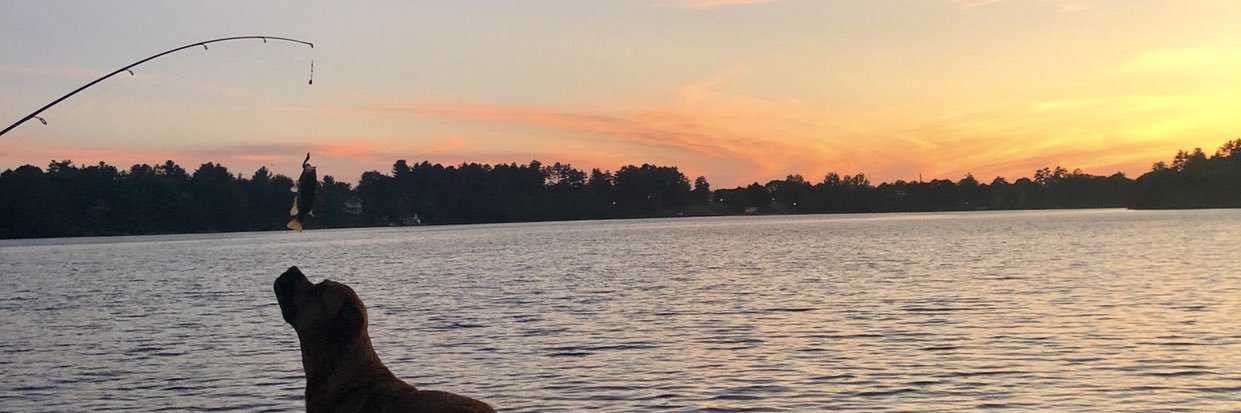 bailey_gandy's profile banner image