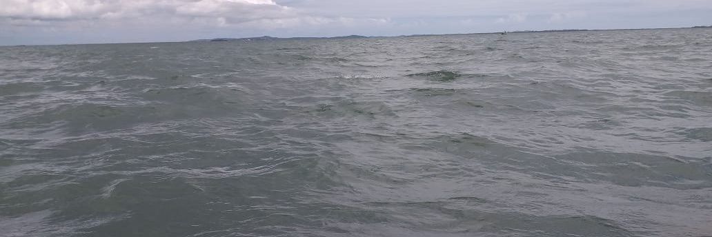 ton202_5's profile banner image