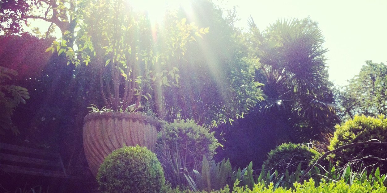 florencepage's profile banner image