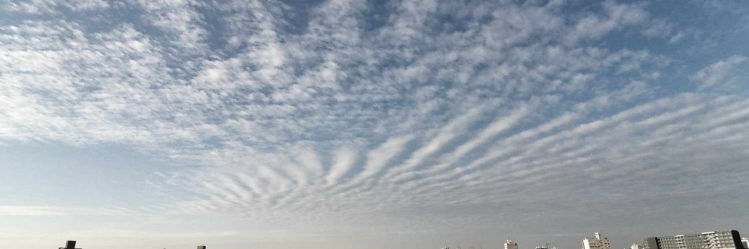 David Gonzalez banner