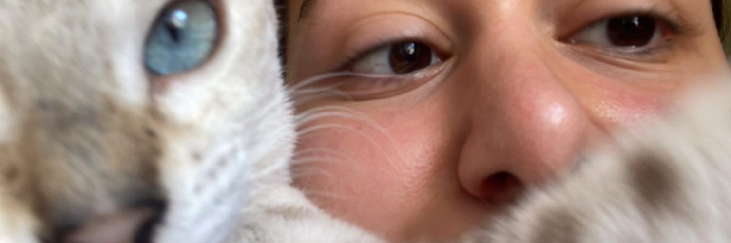 formiga banner