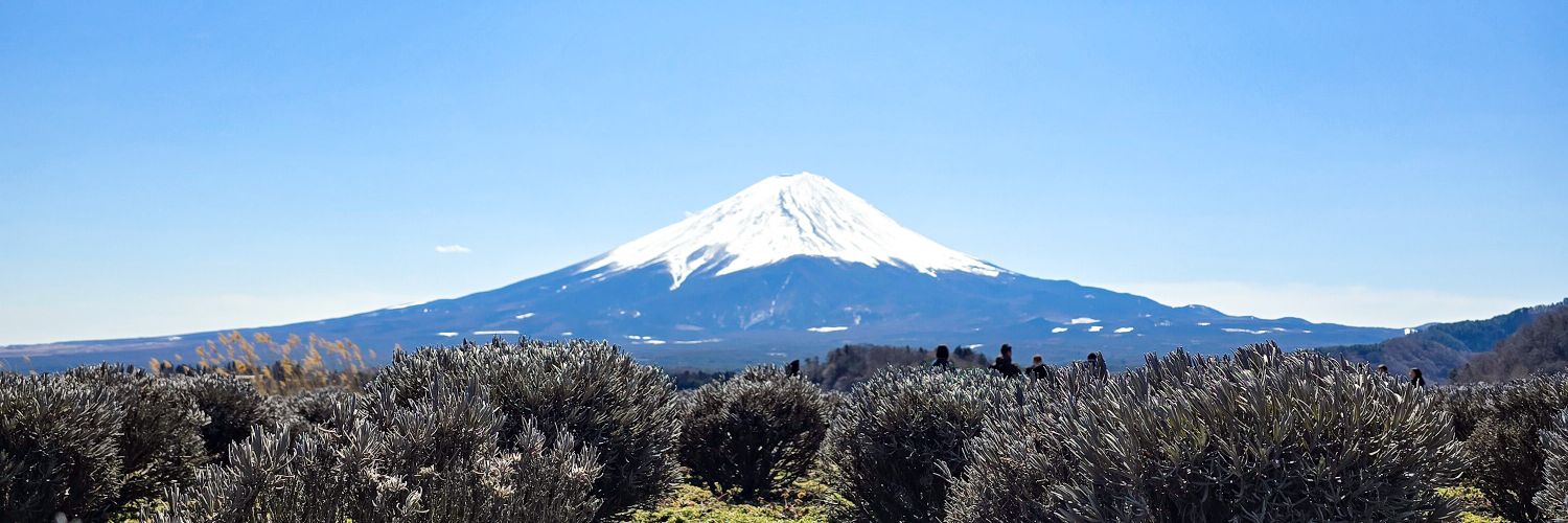 Imprezala's profile banner image