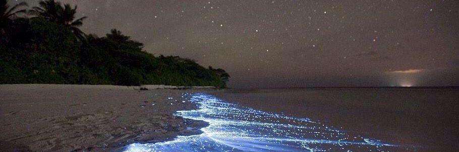 バガ郎（パズー） banner