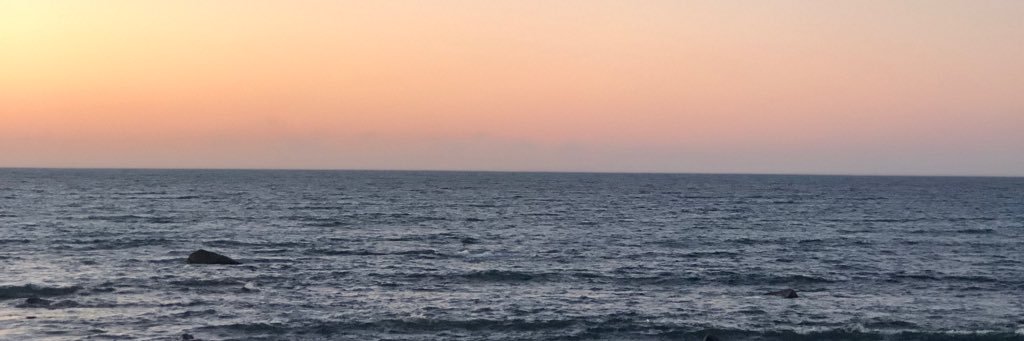 ZoeeChadwick's profile banner image