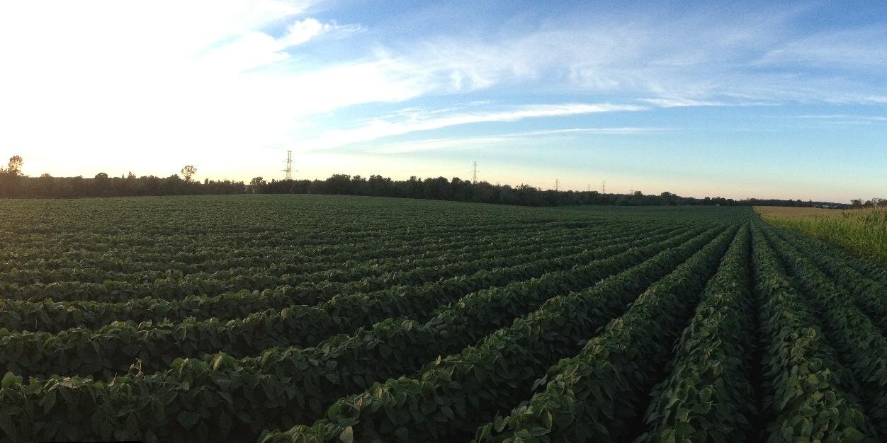 JRDFarms's profile banner image