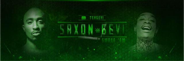 tehgevi's profile banner image