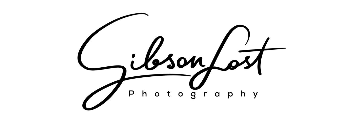 GibsonLost's profile banner image