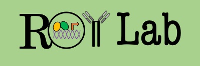 Koushik Roy (He/Him) banner